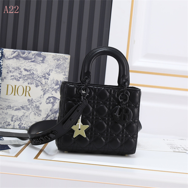 Dior Bags AAA 122